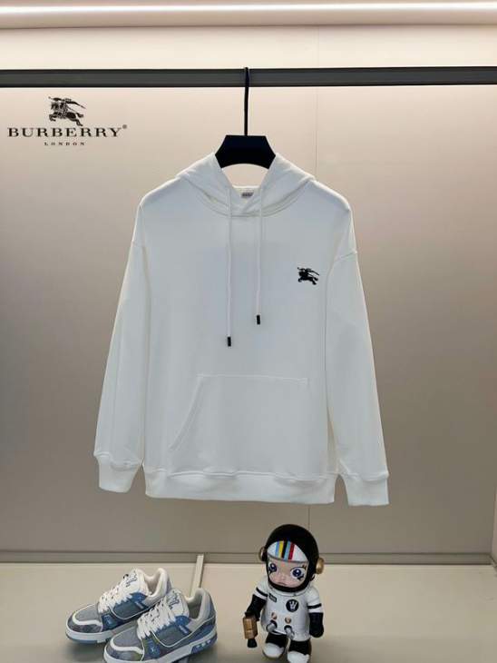 Picture of Burberry Hoodies _SKUBurberryXS-L24cr281896